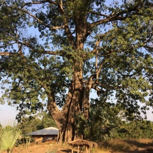 Villaggio dell'Africa