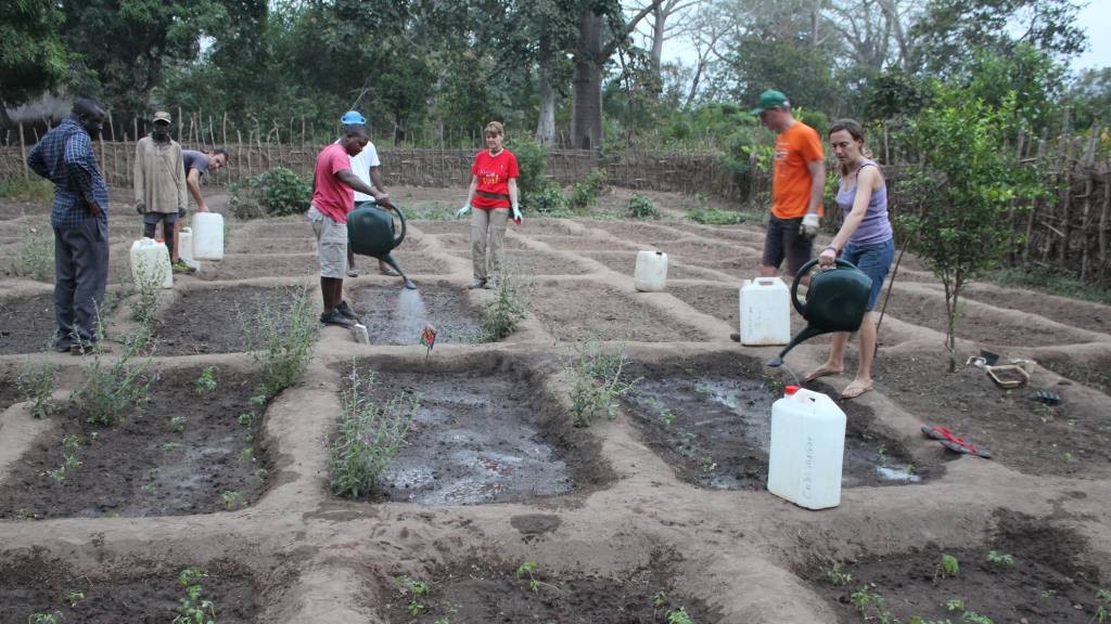 Progetto Orti in Guinea Bissau